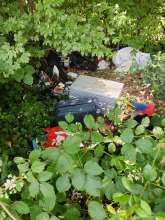 Bild zu gemeldetem Anliegen vom *2025-06-26 15:28:43