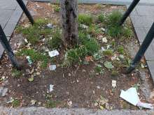 Bild zu gemeldetem Anliegen vom *2025-06-09 15:29:23