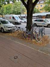 Bild zu gemeldetem Anliegen vom *2025-06-27 16:36:30