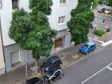 Bild zu gemeldetem Anliegen vom *2025-06-23 06:30:34