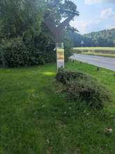 Bild zu gemeldetem Anliegen vom *2025-06-17 03:29:08