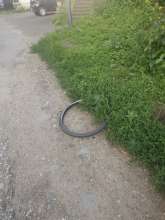 Bild zu gemeldetem Anliegen vom *2025-06-13 07:35:15