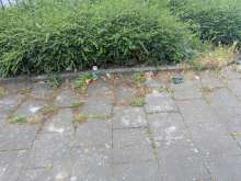 Bild zu gemeldetem Anliegen vom *2025-06-26 21:33:36