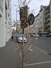 Bild zu gemeldetem Anliegen vom *2025-06-04 06:29:04