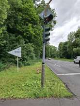 Bild zu gemeldetem Anliegen vom *2025-06-07 18:21:29