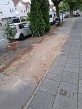 Bild zu gemeldetem Anliegen vom *2025-06-07 18:32:46