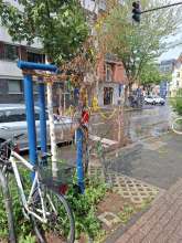 Bild zu gemeldetem Anliegen vom *2025-06-08 12:27:56