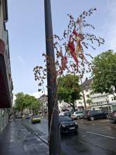 Bild zu gemeldetem Anliegen vom *2025-06-08 15:21:07
