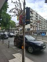 Bild zu gemeldetem Anliegen vom *2025-06-10 12:31:08