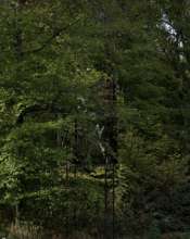 Bild zu gemeldetem Anliegen vom *2025-06-12 16:00:27