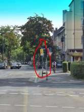Bild zu gemeldetem Anliegen vom *2025-06-14 06:32:49