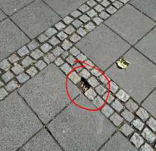 Bild zu gemeldetem Anliegen vom *2025-06-16 09:28:30