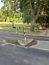 Bild zu gemeldetem Anliegen vom *2025-06-17 18:29:56