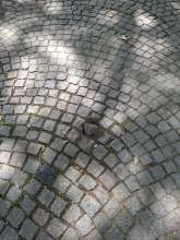 Bild zu gemeldetem Anliegen vom *2025-06-18 09:27:59