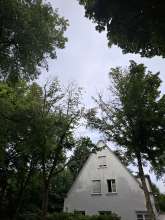Bild zu gemeldetem Anliegen vom *2025-06-23 08:42:20