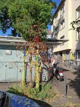 Bild zu gemeldetem Anliegen vom *2025-06-29 15:29:44