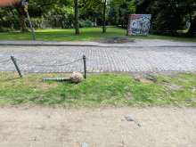 Bild zu gemeldetem Anliegen vom *2025-06-06 18:30:04