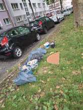 Bild zu gemeldetem Anliegen vom *2025-06-10 22:08:56