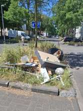 Bild zu gemeldetem Anliegen vom *2025-06-20 12:31:05