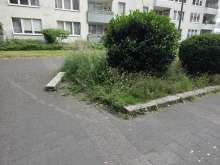 Bild zu gemeldetem Anliegen vom *2025-06-25 18:28:17