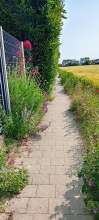 Bild zu gemeldetem Anliegen vom *2025-06-11 09:27:39