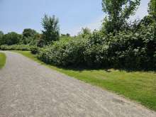 Bild zu gemeldetem Anliegen vom *2025-06-12 18:27:49