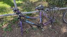 Bild zu gemeldetem Anliegen vom *2025-06-13 14:31:31