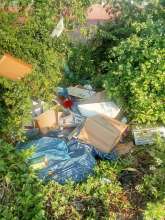 Bild zu gemeldetem Anliegen vom *2025-06-17 06:33:05