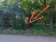 Am Rand des Spielplatzes am Fußweg zum Gräfenhof