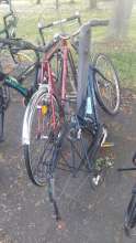 Bild zu gemeldetem Anliegen vom *2025-06-14 06:32:49