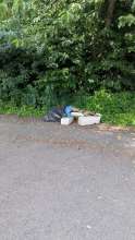 Bild zu gemeldetem Anliegen vom *2025-06-11 09:27:39
