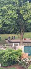 Bild zu gemeldetem Anliegen vom *2025-06-25 18:28:17