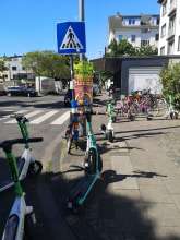 Bild zu gemeldetem Anliegen vom *2025-06-28 10:35:02