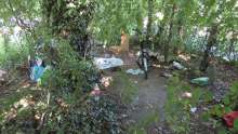 Bild zu gemeldetem Anliegen vom *2025-06-21 09:35:10