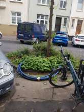 Bild zu gemeldetem Anliegen vom *2025-06-03 21:31:38
