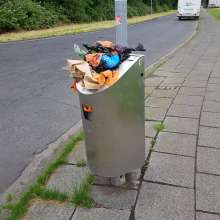 Bild zu gemeldetem Anliegen vom *2025-06-01 12:27:57