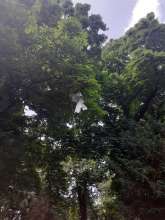 Bild zu gemeldetem Anliegen vom *2025-06-02 13:58:03