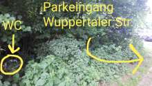 Bild zu gemeldetem Anliegen vom *2025-06-05 12:28:54
