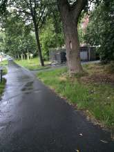 Bild zu gemeldetem Anliegen vom *2025-06-06 03:34:33