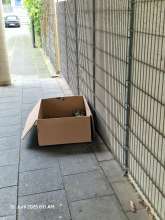 Bild zu gemeldetem Anliegen vom *2025-06-10 08:12:05