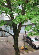 Bild zu gemeldetem Anliegen vom *2025-06-10 17:49:04