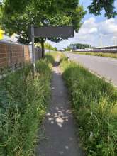 Bild zu gemeldetem Anliegen vom *2025-06-16 15:33:04