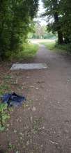 Teppiche am Sportplatz entsorgt *2025-06-16 18:28:28