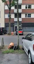 Bild zu gemeldetem Anliegen vom *2025-06-18 21:43:11