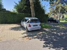 Bild zu gemeldetem Anliegen vom *2025-06-20 09:27:09
