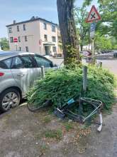 Bild zu gemeldetem Anliegen vom *2025-06-22 12:28:18
