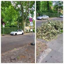 Bild zu gemeldetem Anliegen vom *2025-06-24 09:09:40