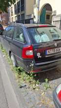 Bild zu gemeldetem Anliegen vom *2025-06-30 15:28:58