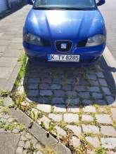 Bild zu gemeldetem Anliegen vom *2025-06-30 15:28:58