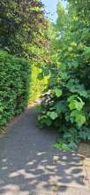 Bild zu gemeldetem Anliegen vom *2025-06-14 09:31:44